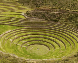 Moray - Cusco